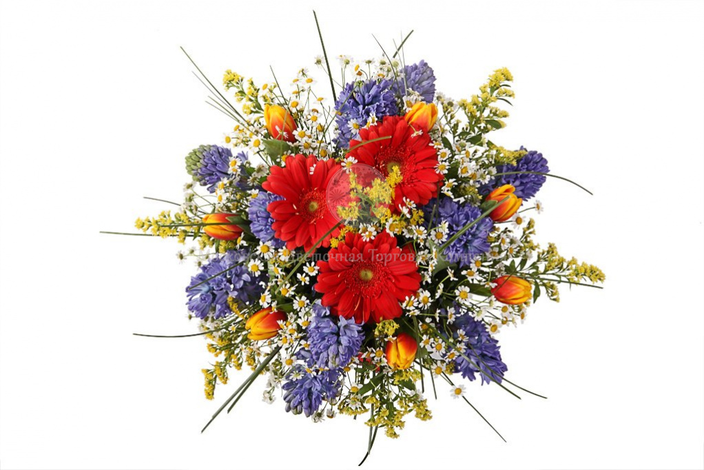 Весна Красна Магазин — Интернет Магазин