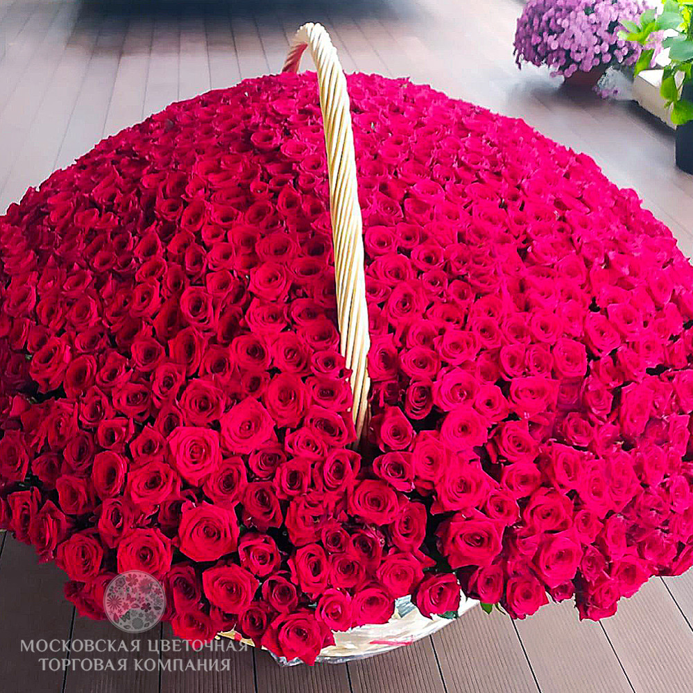 1001 красная роза в корзине купить за 185 000 руб. с круглосуточной  доставкой | Мосцветторгком