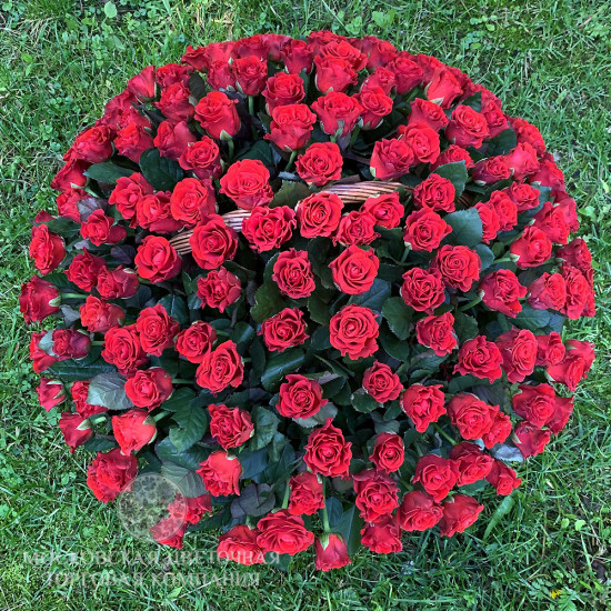 Букет 151 роза Эль Торо в корзине