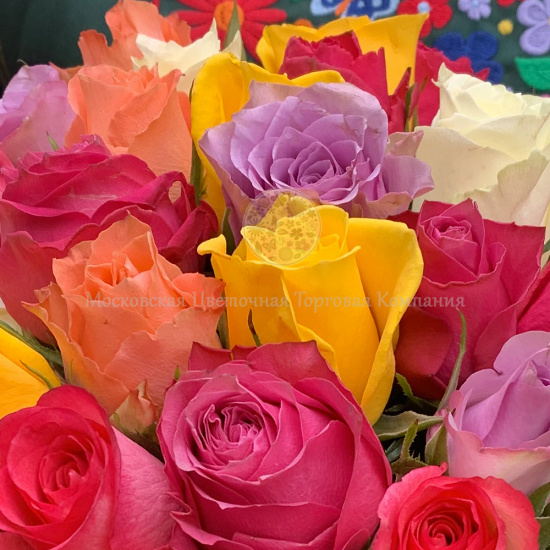 Букет из 17 роз Цвет радуги