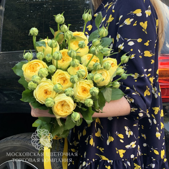 Букет 15 пионовидных роз Каталина