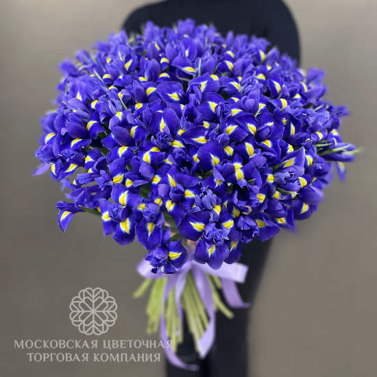Букет из ирисов Ириска (мега)