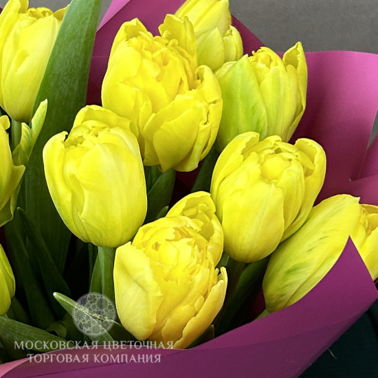 Букет 15 премиальных тюльпанов, желтые
