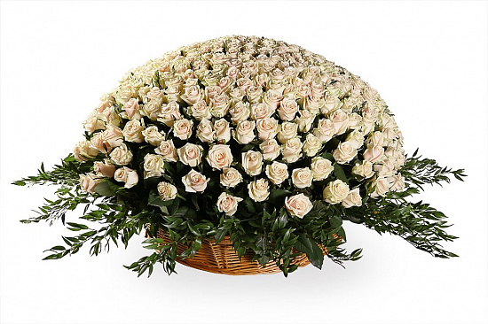 Букет 501 роза Талея в корзине