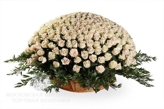 Букет 501 роза Талея в корзине
