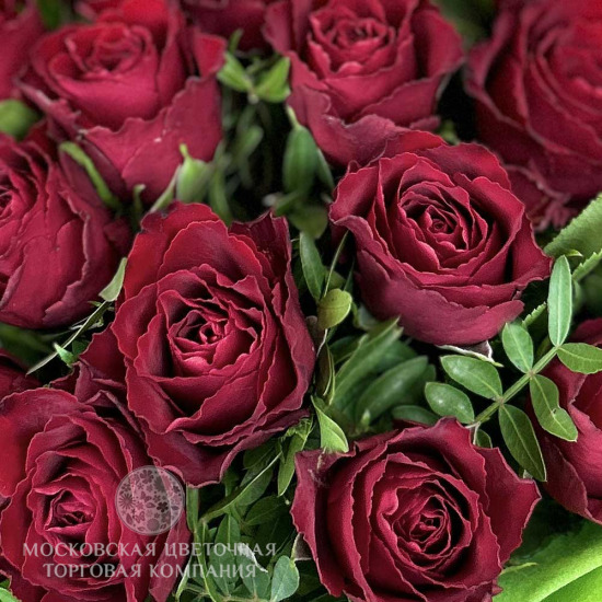 Букет 21 красная роза Родос, Кения