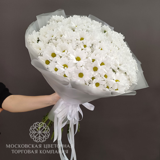 Букет 25 белых кустовых хризантем