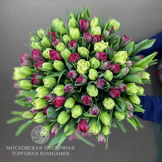 Букет 101 премиум тюльпан, розово-зеленый микс