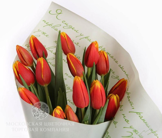 Букет 15 тюльпанов Слова любви, красные