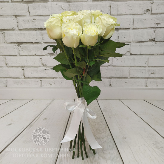 Букет Светлые грезы, 11 премиальных эквадорских роз