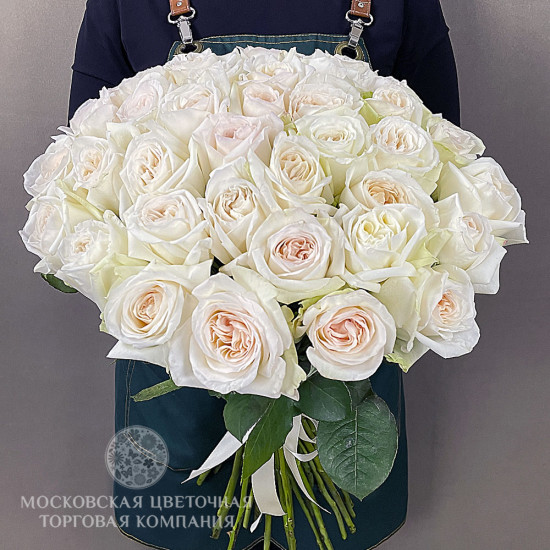 Букет из 35 пионовидных ароматных роз Вайт О'Хара