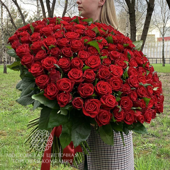 Букет из 201 красной розы