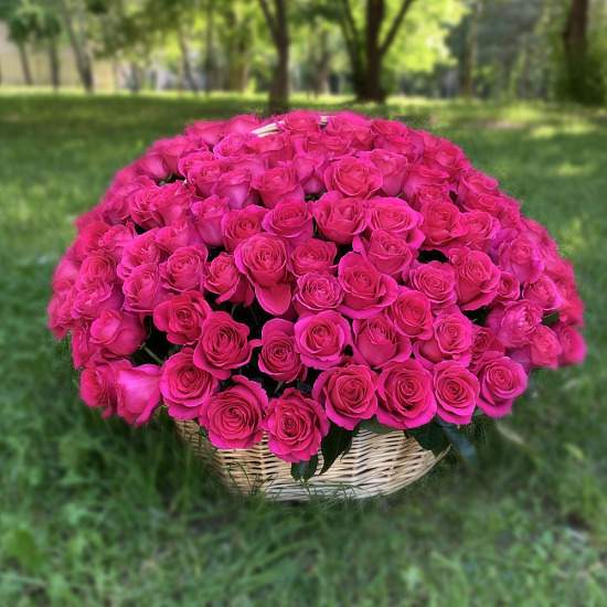 201 роза Пинк Флойд в корзине, Эквадор