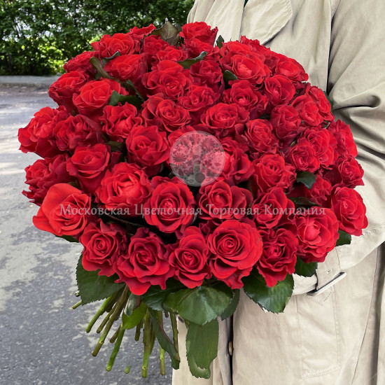 Букет 51 красных роз Эль Торо