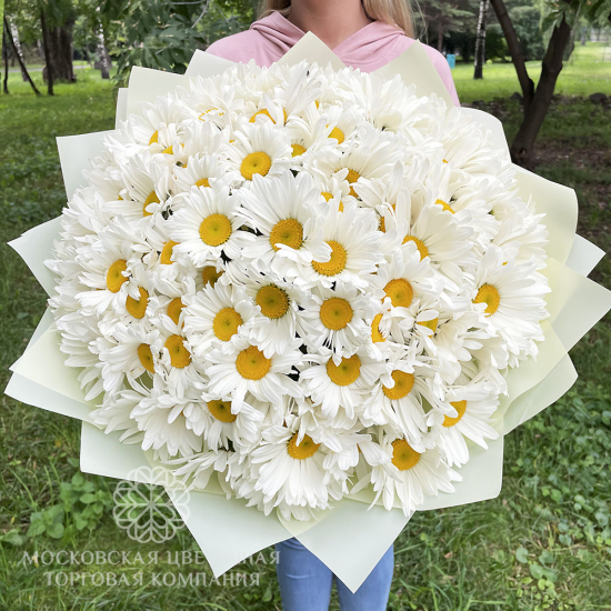 Букет "Белый Танец", 101 ромашка