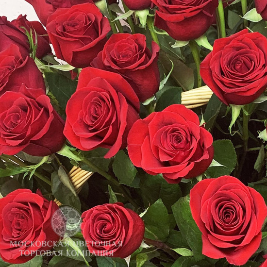 Букет 151 премиальная роза Фридом в корзине, Эквадор