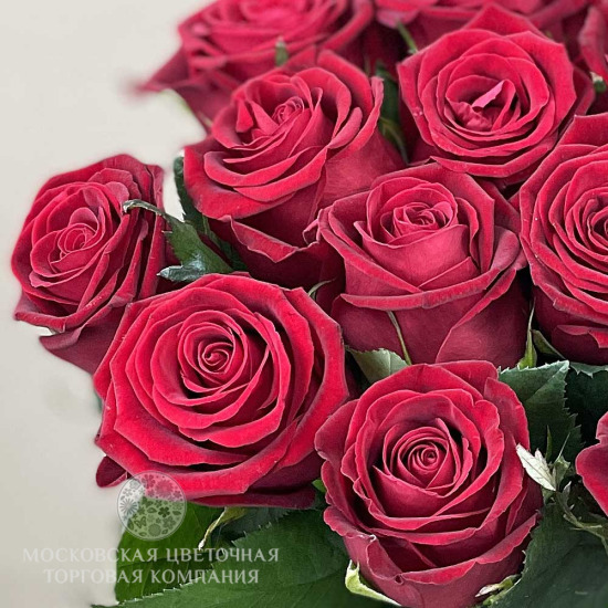 Букет из 15 красных роз