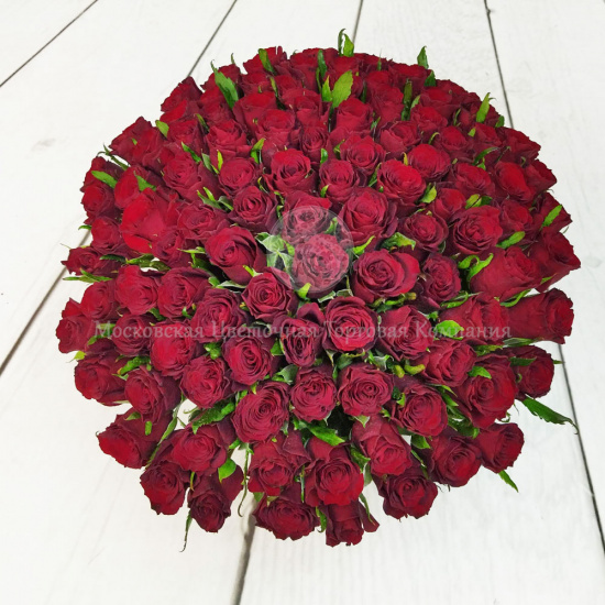 Букет Алая Вуаль (101 роза)