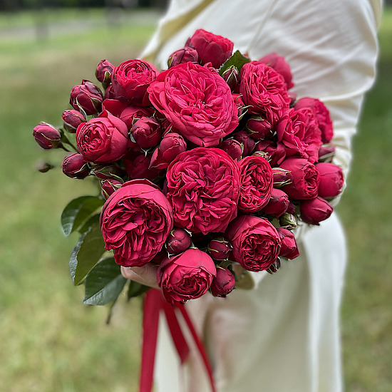 Букет 15 пионовидных роз Ред Пиано