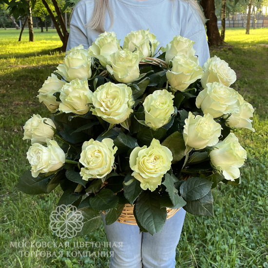35 роз Мондиаль в корзине