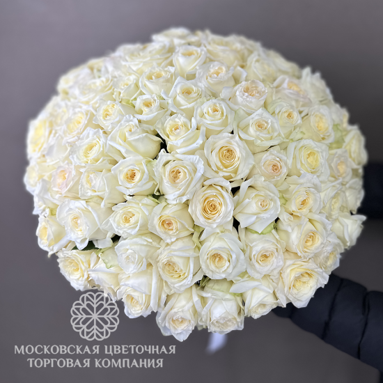 Букет Мечты, 75 роз Кэндллайт