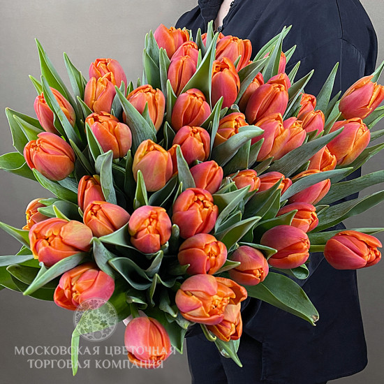 Букет 51 премиальный тюльпан, красно-оранжевые