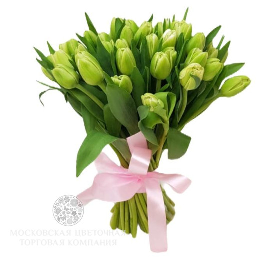 Букет 51 пионовидный тюльпан, бело-зеленые