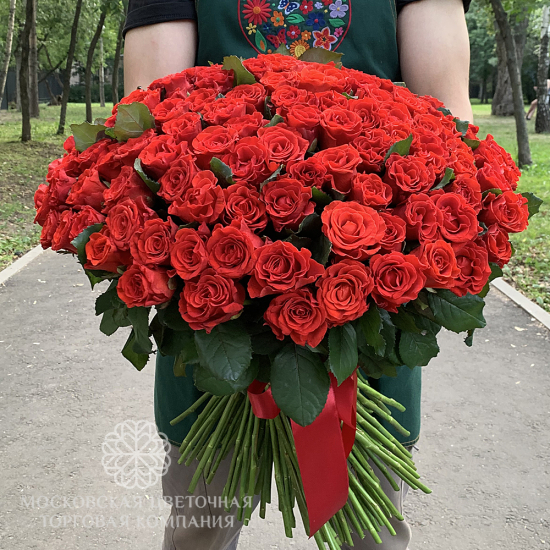 Букет 151 красная роза Эль Торо
