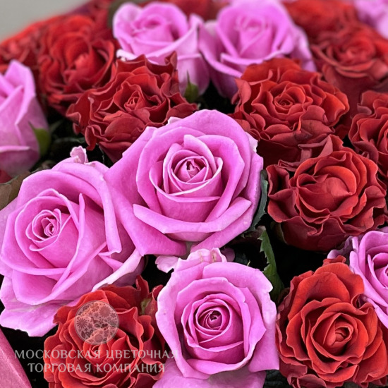 Букет 25 роз, красно-розовый микс