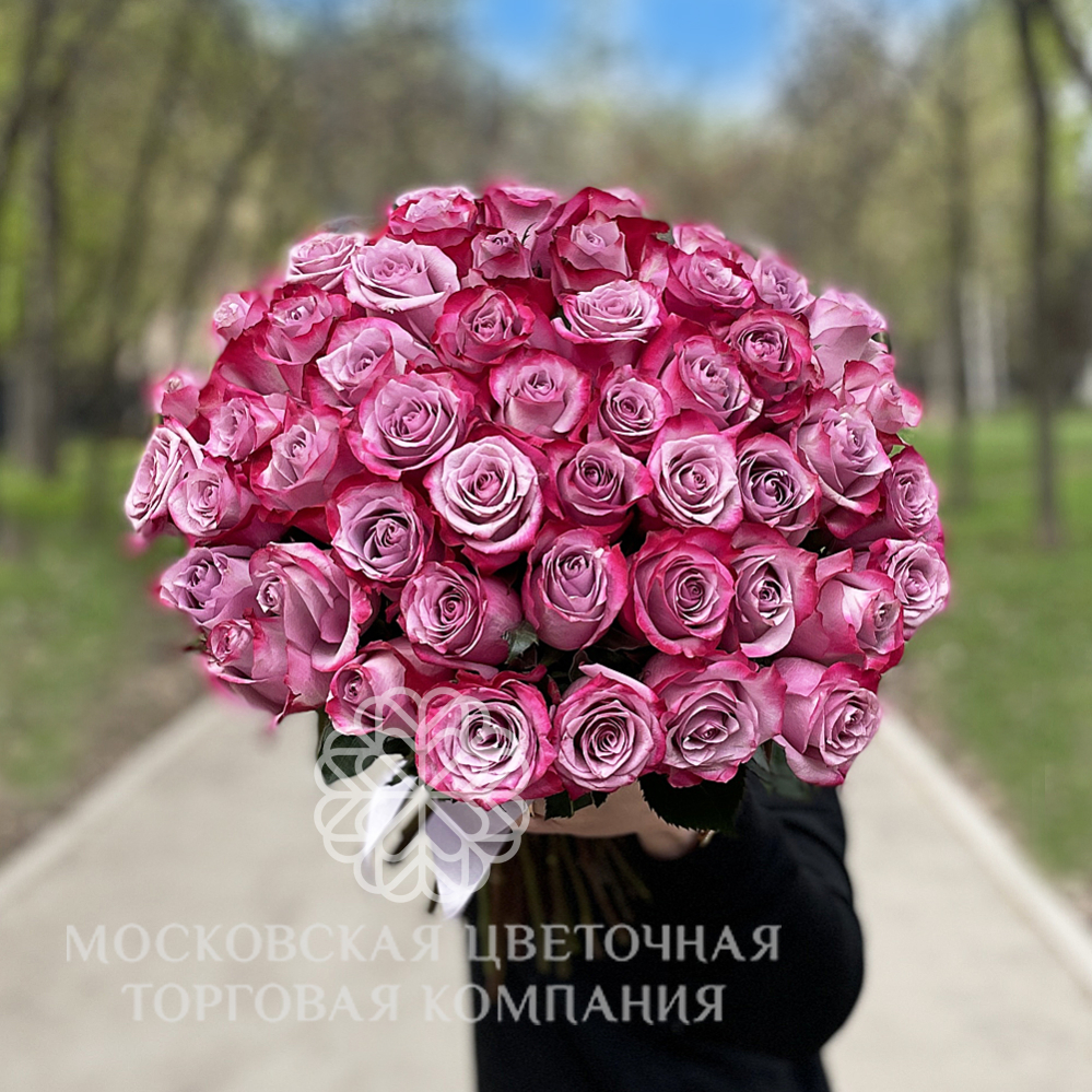 Букет 51 роза Дип Перпл купить с доставкой в Москве за 18 450 руб.